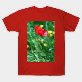Poppy Photo T-Shirt